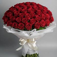 Букет 101 Красная роза Блэк Мэджик в Сургуте