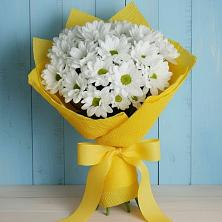Букет цветов из:  Хризантемы в Сургуте