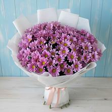 Букет цветов из:  Хризантемы в Сургуте