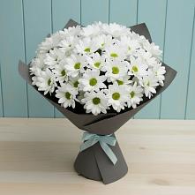 Букет цветов из:  Хризантемы в Сургуте