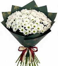 Букет цветов из:  Хризантемы в Сургуте