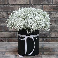 Цветочная композиция из Гипсофила в шляпной коробке #REPLACE_PRED# Сургуте