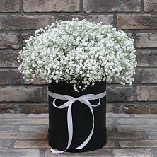 Цветочная композиция из Гипсофила в шляпной коробке в Сургуте