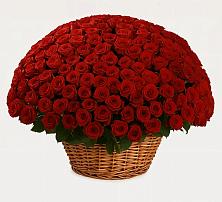 Премиум букет из: Розы в Сургуте