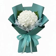 Букет цветов из:  Гортензия в Сургуте